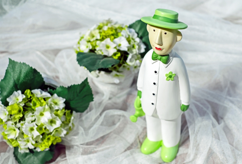 ecommerce-PUGET ROSTANG-min_man-person-flower-green-toy-fig-546529-pxhere.com